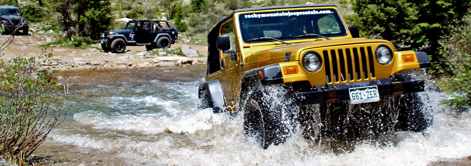 Goldie in Baldwin Creek